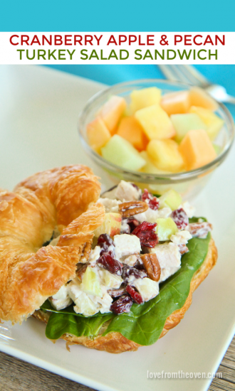 Cranberry-Apple-And-Pecan-Turkey-Salad-Sandwich Love from the overn