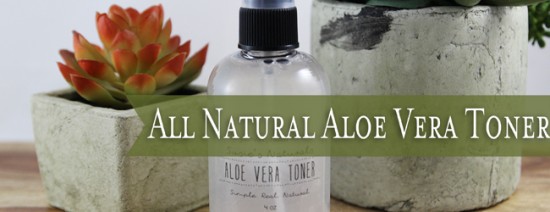 Toner may not feel like an important step in your skincare routine, but it really makes a difference! I love aloe vera more than anything, and it really evens out this aloe vera toner so that it not only makes your pores smaller but also keeps your skin moisturized. This DIY toner is so easy and wonderful, you'll wonder why you aren't already using a natural toner!
