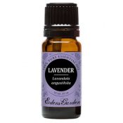 amazon lavender essential oil eo