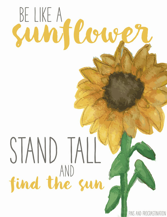 Now that it's spring, I've got my mind on all things floral and bright! So to share a little sunshine with you, I made these free spring printables to brighten up your home! These free spring designs are such fun and happy printables that are completely free for you to download! 