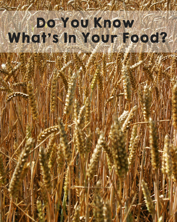 Do you know what’s in your food? Learn from farmers about making sure your food has only the BEST and healthiest ingredients. #FarmersSpeak #organic