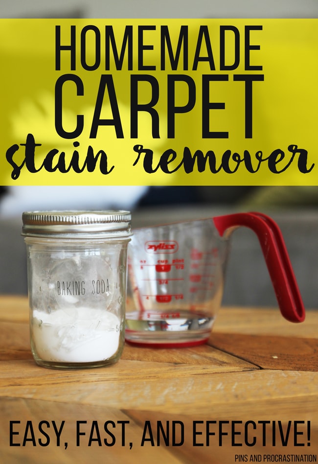 Homemade Carpet Stain Remover - Pins